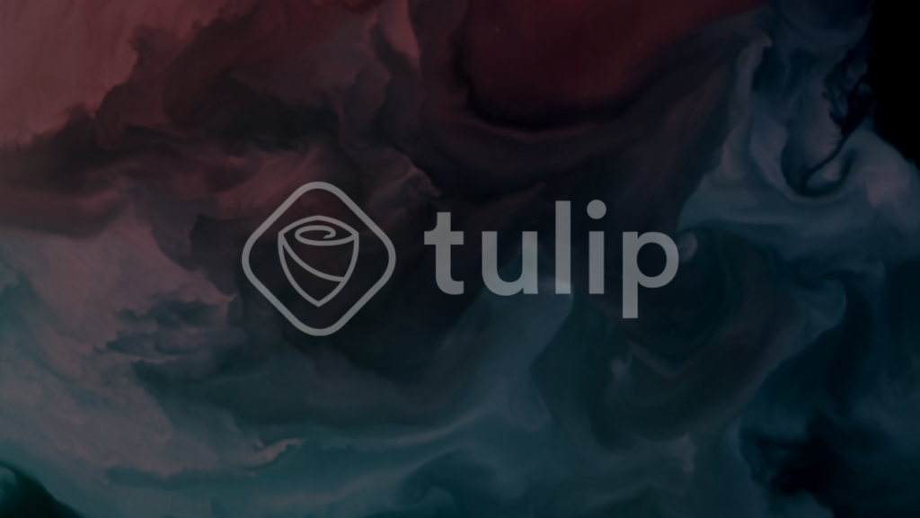 Tulip