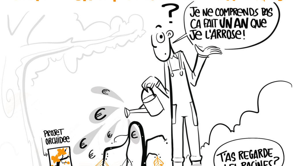 ÉVALUATION DES PROGRAMMES STRATÉGIQUES