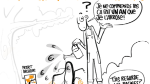 ÉVALUATION DES PROGRAMMES STRATÉGIQUES